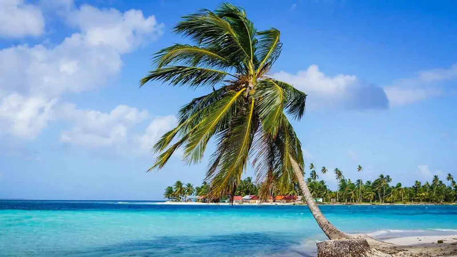 MUNDO RUTASL, turismo, pasadias, transporte en ibagué, colombia