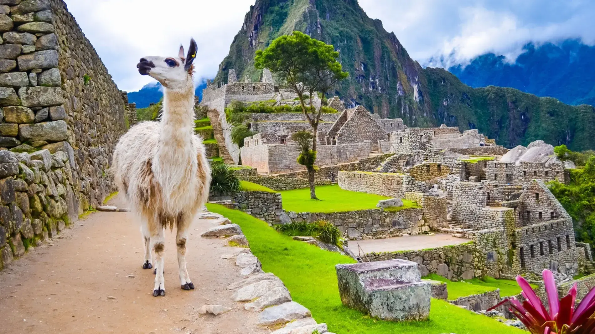 MUNDO RUTASL, turismo, pasadias, transporte en ibagué, colombia