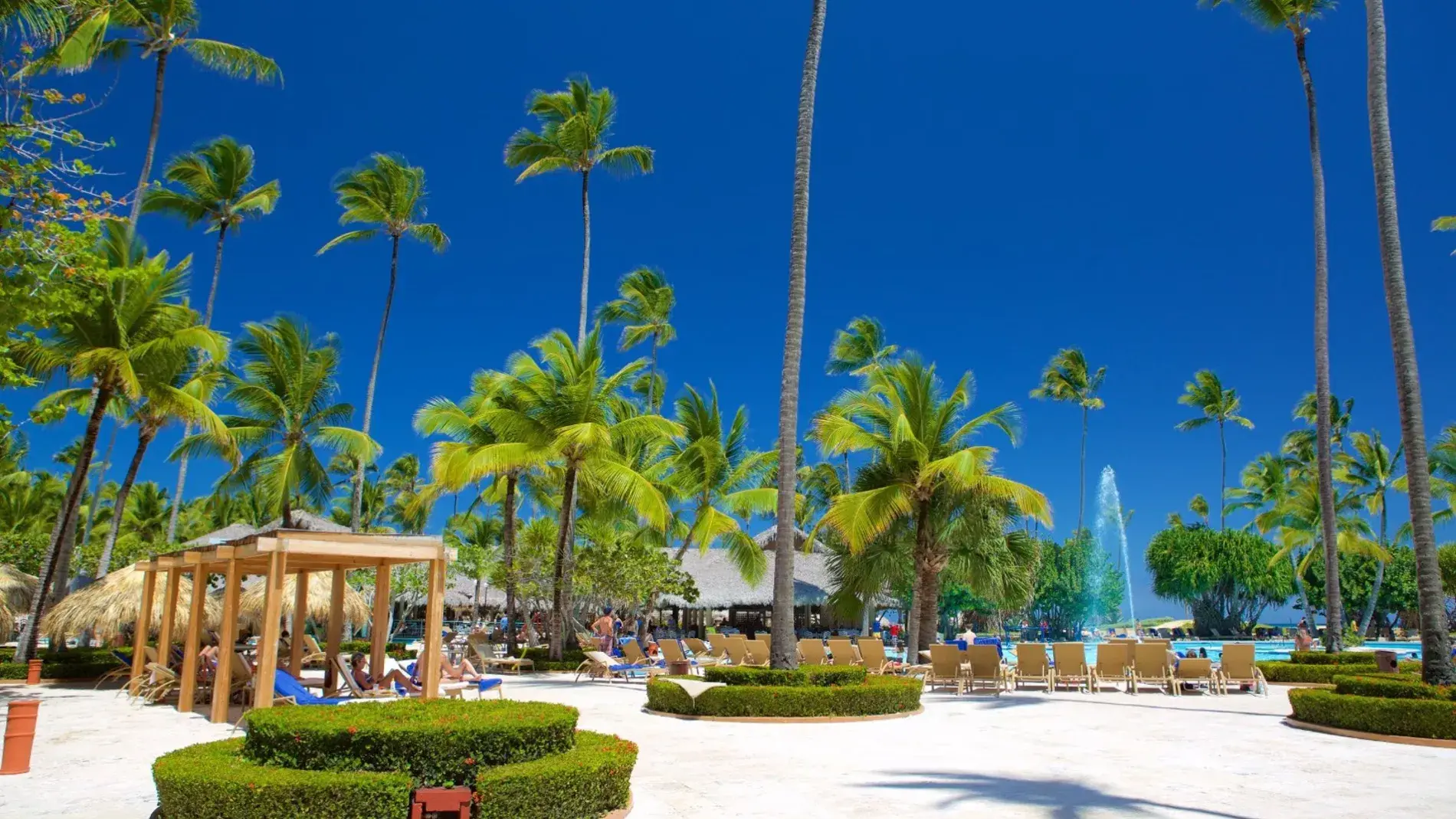 MUNDO RUTASL, turismo, pasadias, transporte en ibagué, colombia