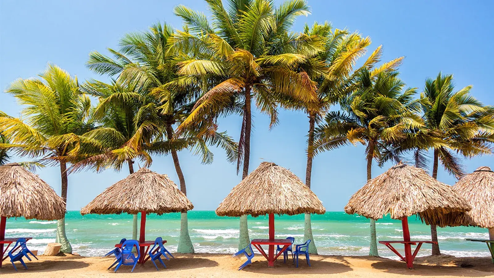 tolostuor, turismo, pasadias, transporte en ibagué, colombia