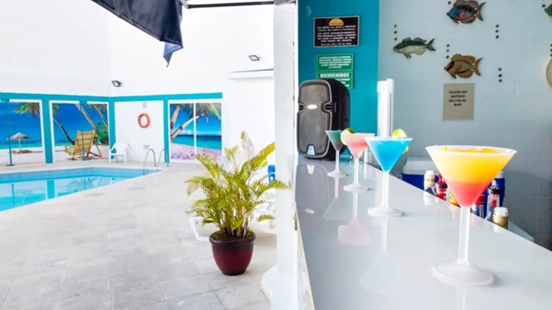 tolostuor, turismo, pasadias, transporte en ibagué, colombia