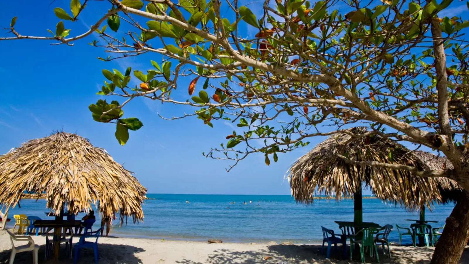 MUNDO RUTASL, turismo, pasadias, transporte en ibagué, colombia